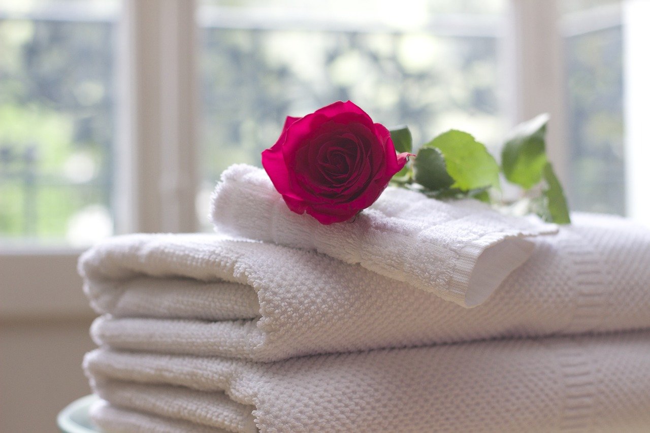 towel, rose, clean